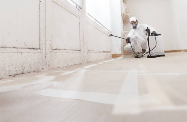 24/7 Emergency Black Mold Remediation experts in Thomasville, PA