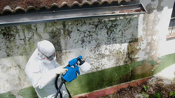 Top rated local Black Mold Remediation specialists in Thomasville, PA